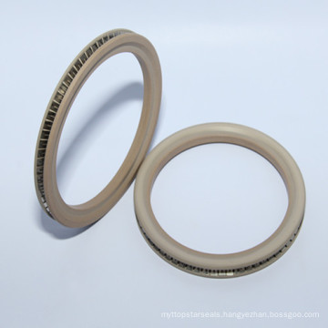 Spring Energized Seals for Pump Spring Seals